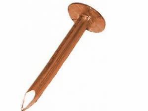 A copper concrete nail with very large flat head and sharp end
