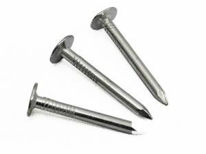 Three hot dipped galvanized concrete nails with large heads